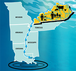 Kentucky waters eventually reach Gulf, where a dead zone is growing, impacting marine life