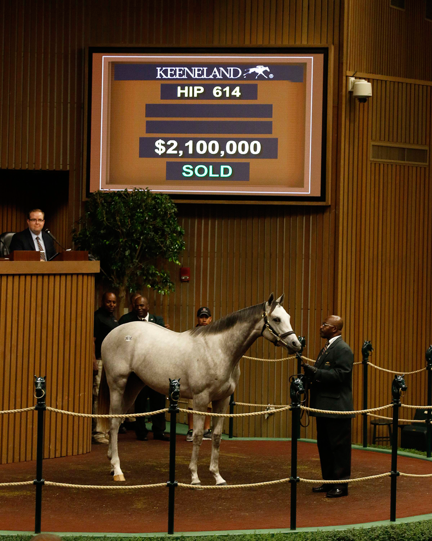 Highest price so far at Keeneland yearling sale — $2.1m for Tapit colt out of Winning Color’s daughter