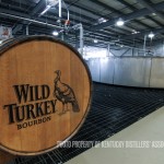 Wild Turkey