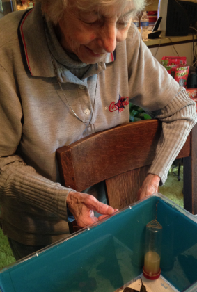 The Bird Woman of Union: Ginger Rood has saved thousands of wild birds, but at 79 needs a break