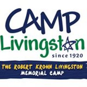 11-year-old girl killed at Camp Livingston in Southern Indiana when ...