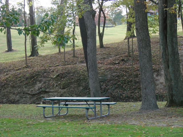 Enjoytory time at parks in Boone County throughout the month (provided photo of Boone Woods Park).