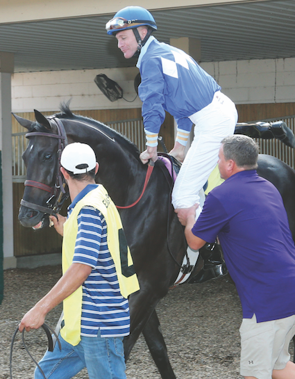 Trainer-Owner Buff Bradley gives  Calvin a leg up on Kiss My Note. (Coady Photography)