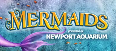 Mermaids return to Newport Aquarium; festivities include Mermaid and Pirate Ball, Breakfast