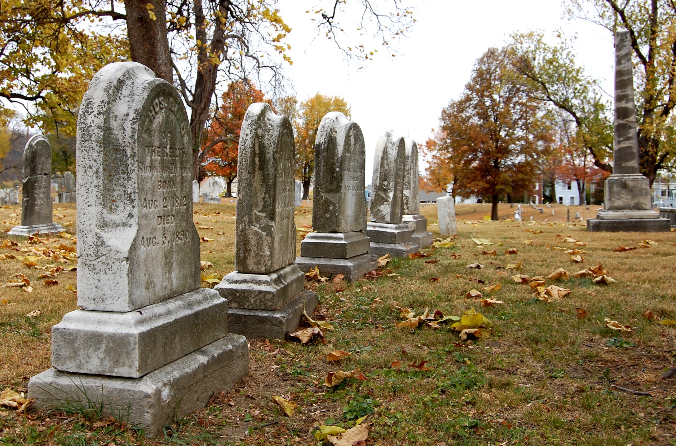 linden