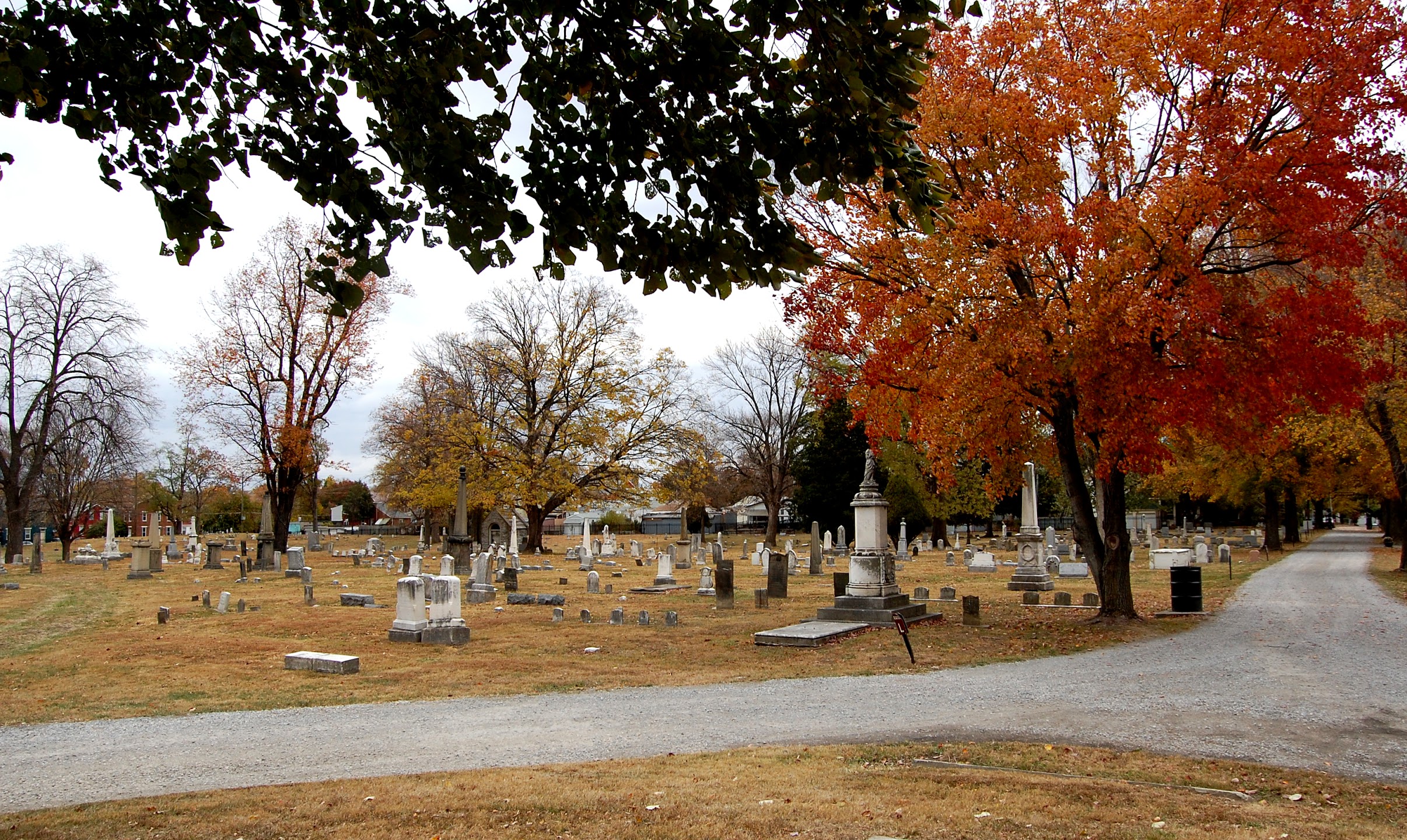 linden1