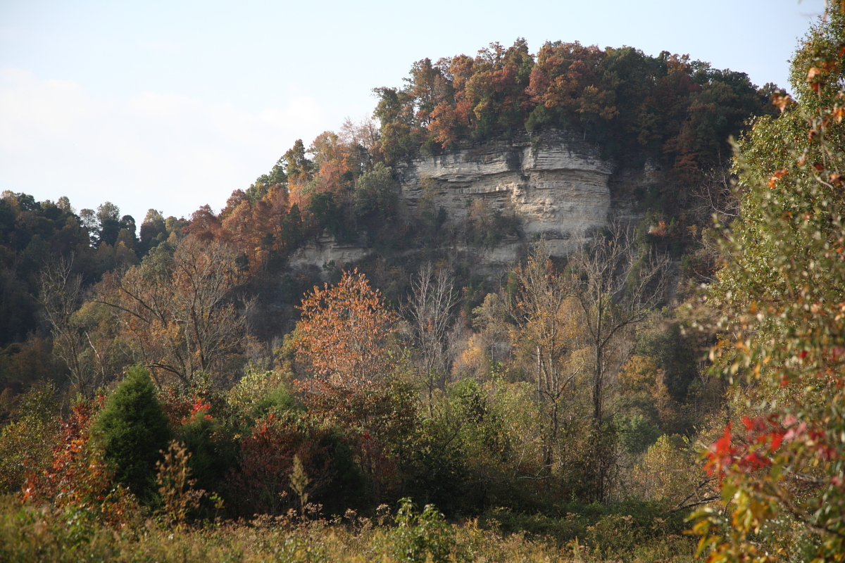 Kentucky Afield Outdoors: All signs point to beginning of modern gun deer season
