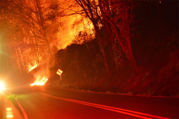 wildfires-copy