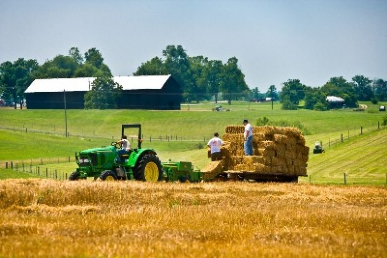 Current year Kentucky net farm likely to reach lowest level