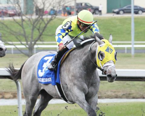 Hansen sells stake in Derby hopeful, Fast and Accurate, to Olympic gold medalist Bode Miller