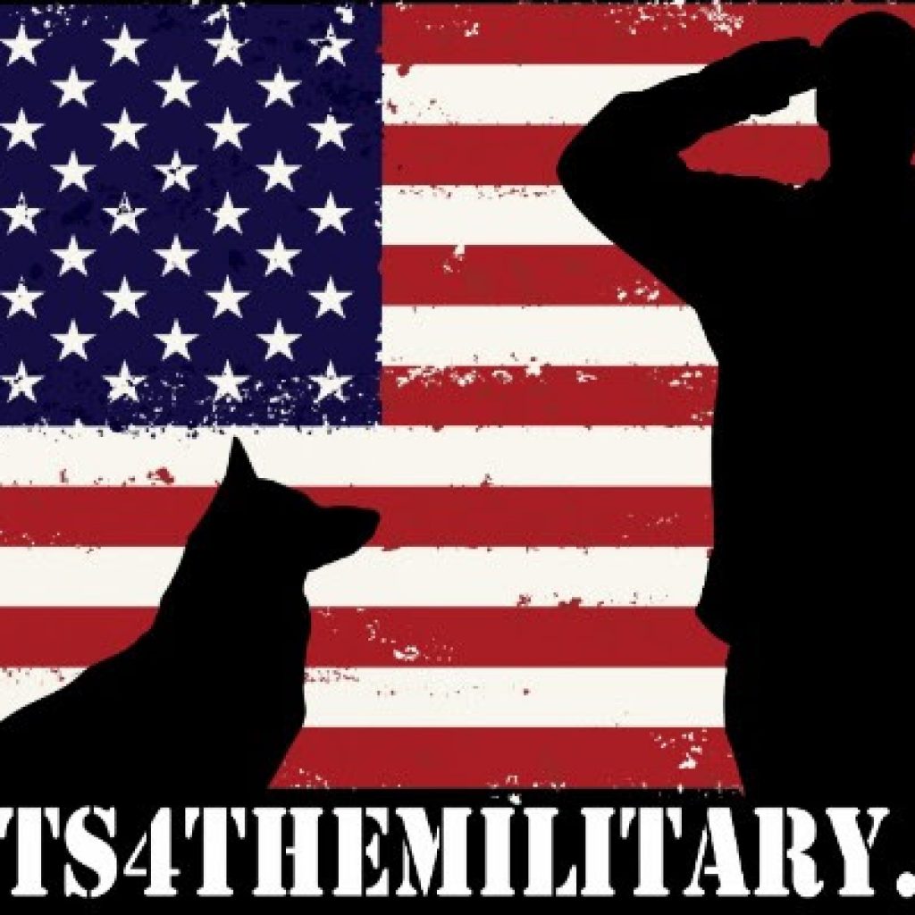 Mutts 4 the Military Veterans receive a fourlegged buddy and the dogs