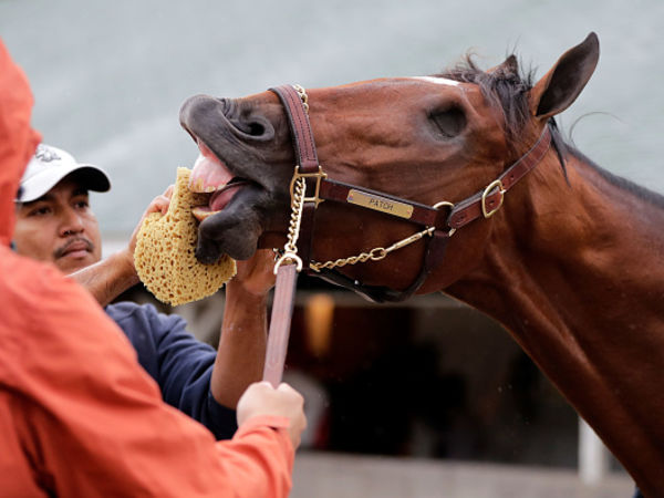 Kentucky Derby also-ran Patch among a host of race horses who lived up — or down — to their names