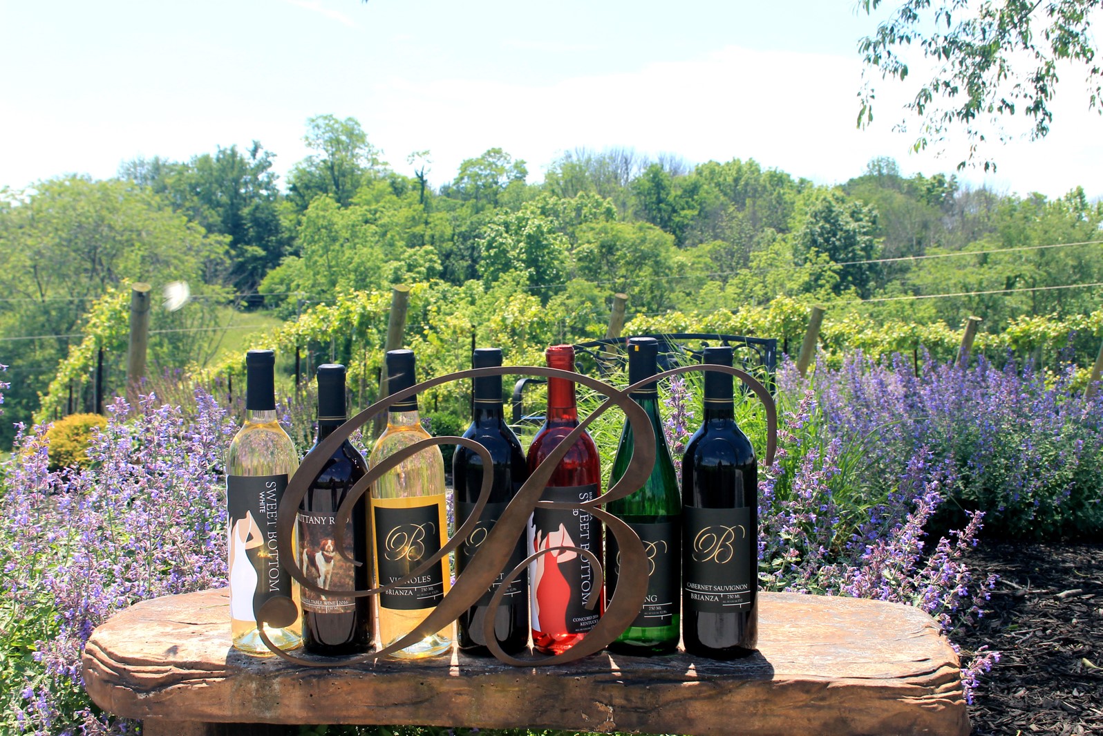 Business Briefs: NKY Chamber hosts Wine Down Wednesday; RiverHills Bank appoints Tafaro to board