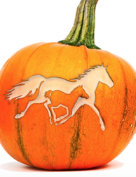 HalloWhinny Fall Festival on Sunday, Oct. 29 has special activities throughout the day at the Ky Horse Park