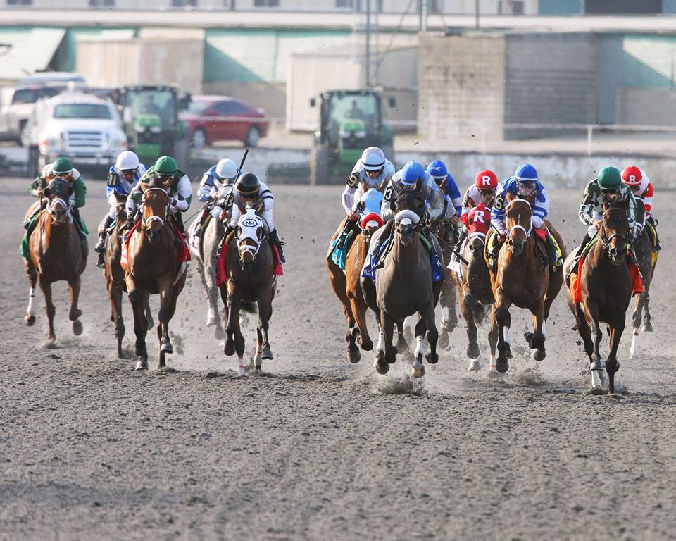 Turfway Park selections for Thursday