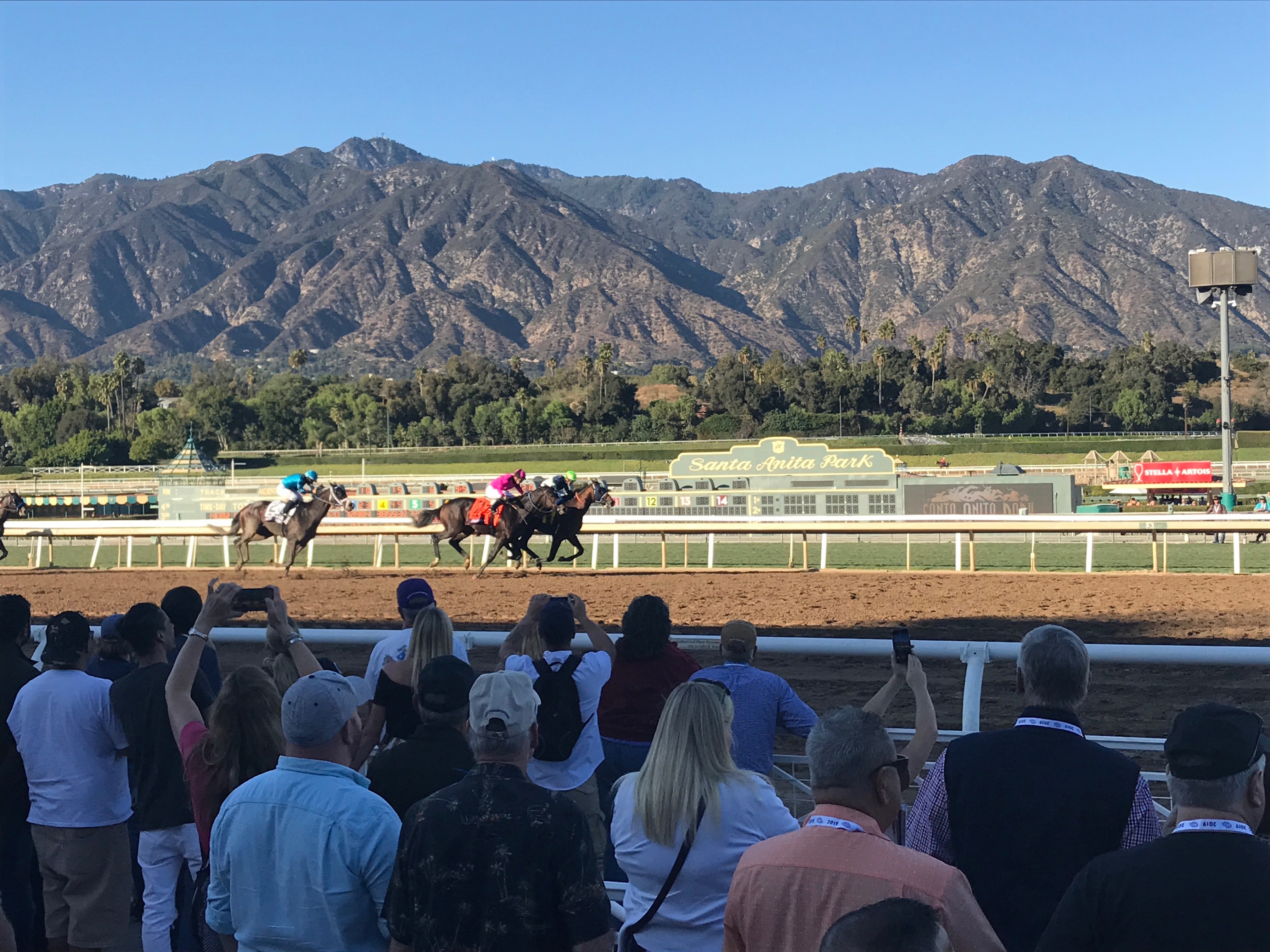 Storm the Court pulls of shocker in Breeders’ Cup Juvenile on Future Stars Friday at Santa Anita