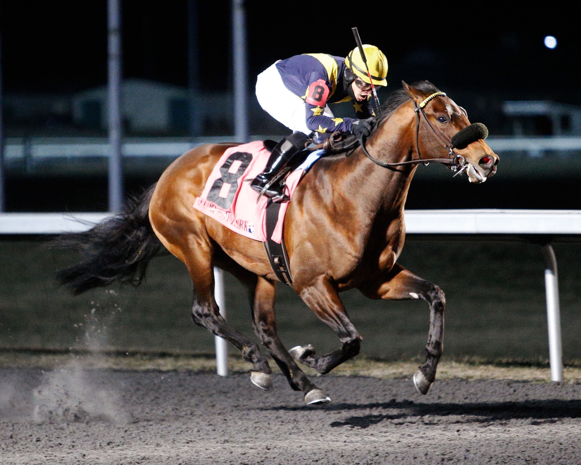 Ward trainees take Cincinnati Trophy, John Battaglia Memorial stakes’ at Turfway Park Friday night