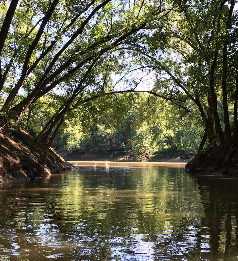 Horizon Community Funds, community partners create Licking River Conservation, Greenway Fund