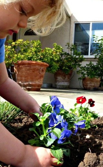 As you escape house confinement to figure out your summer remember: Your backyard isn’t canceled