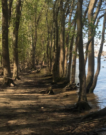 Boone Conservancy partners with Horizon to launch a new fund aimed at preserving green spaces