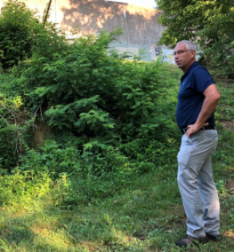‘Landslide in very slow motion’ — Geotech survey will help Covington forge solution to levee sloughing