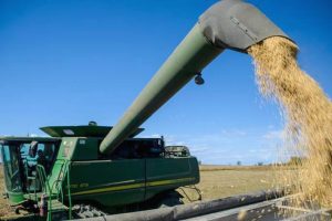 UK agricultural engineer says timely soybean harvest important to maintain yields, quality of crops