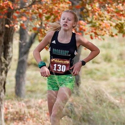 Scott girls cross country team wins Class 2A regional meet by one-point margin over Highlands