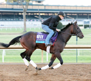 Gretzky the Great likes the Tapeta synthetic surface, going for win in Turfway’s Jeff Ruby Steaks