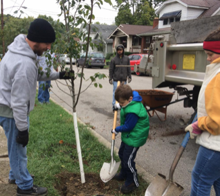 Today is Arbor Day; how about planting a tree or two Sat. in The Cov — 60 street trees are ‘shovel ready’