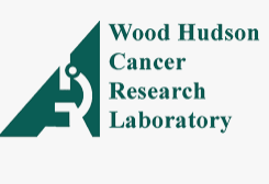 Wood Hudson engages 17 students in Undergraduate Research and Education program for cancer research
