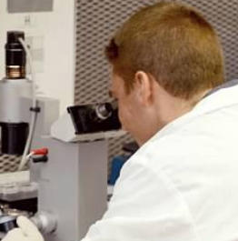 Wood Hudson Cancer Research Laboratory working with 18 students in summer research program