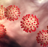The Daily Yonder: COVID deaths and new infections climb modestly across nation; rural areas hardest hit