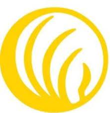 NAMI Northern Kentucky reopens support groups to in-person attendees, adds additional programs
