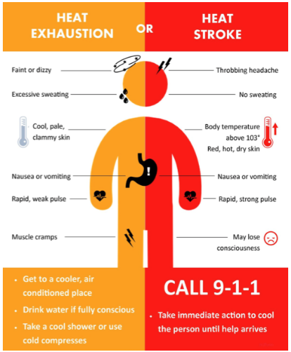 Knowing the dangers and acting early can help protect workers from heat exposure
