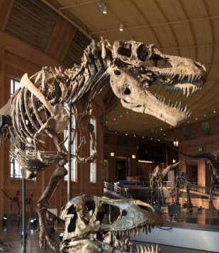 Cincinnati Museum Center offers free admission to all college students with active ID — all month