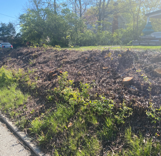 With hillside trees removed, resident on 'old' Alice St. wants a 'safety' barrier on Erlanger-owned access - NKyTribune - Vimarsana News