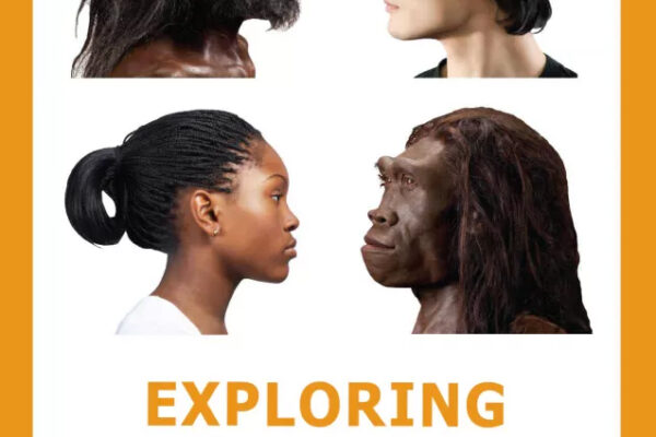 Campbell Co. Public Library to host exhibition on human evolution May 29-Aug. 1 at Newport branch