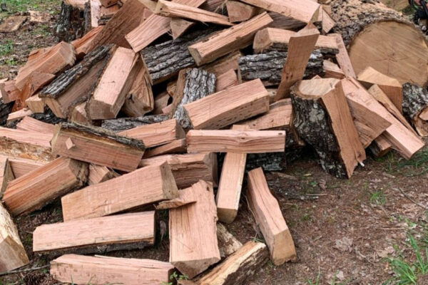 U.S. Forest Service launches online firewood permit site for visitors to Daniel Boone National Forest