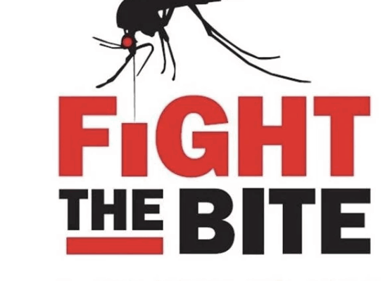 Warmer weather brings out mosquitoes — here are some tips to combat them and protect yourself