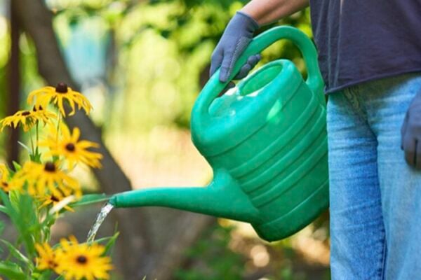 Healthy Headliines: Summertime chores are a win for your home — and your heart