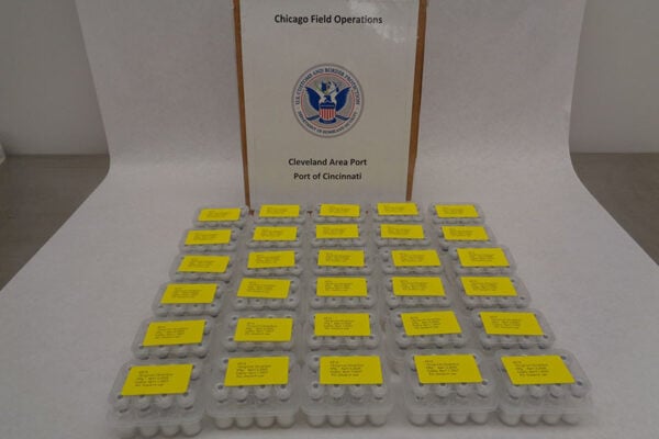 CBP, FDA joint operation intercepts more than $3.5 million in counterfeit pharmaceuticals at Cinci port