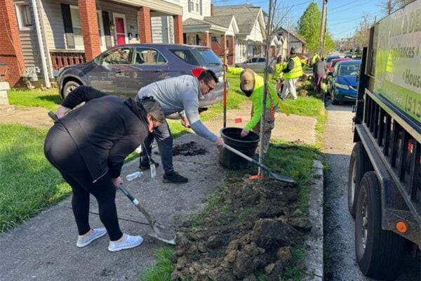 Covington Urban Forestry Board seeking volunteers for fall tree planting in Latonia Saturday