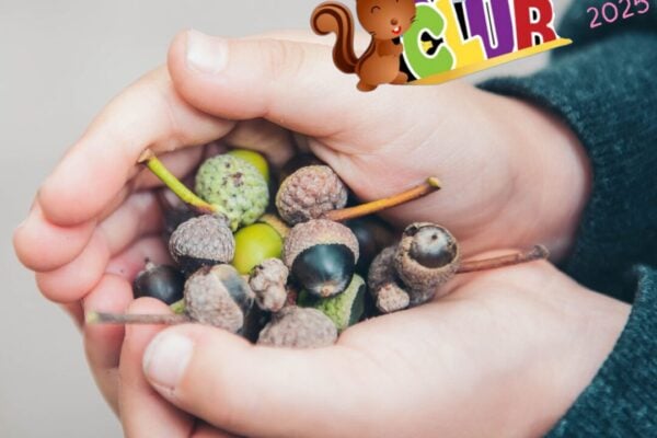 Preschoolers can enjoy fall’s acorns, leaves and blowing breezes at BCM’s Chippie’s Kids Club Nov. 4