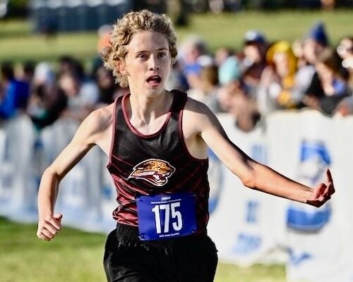 Three distance runners cap cross country careers with victories in state championship meet